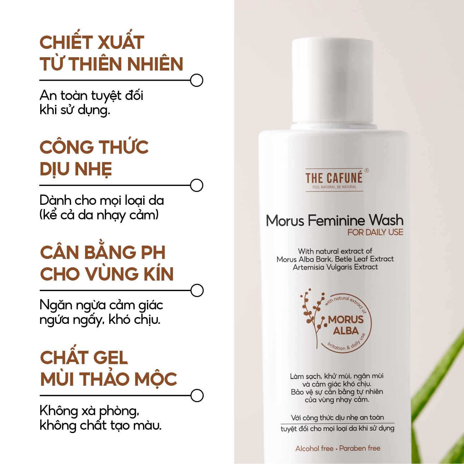 Dung Dịch Vệ Sinh Phụ Nữ Morus Feminine Wash The Cafuné Dưỡng Ẩm, Ngăn Mùi, Ngừa Khuẩn 225ml - Ảnh 2